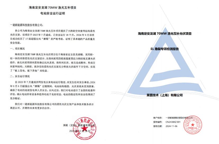 新能柔性支架解锁绿色经济新密码米乐m6网站跨越场景差异 一道(图6)